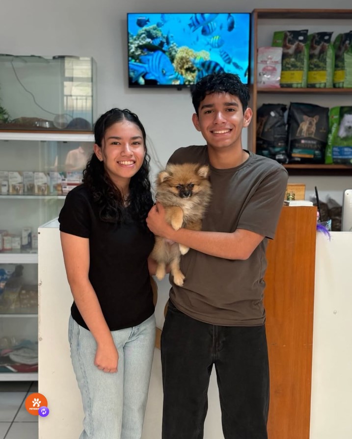 Clientes PetShop GT
